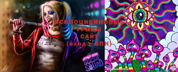 хмурый Вяземский