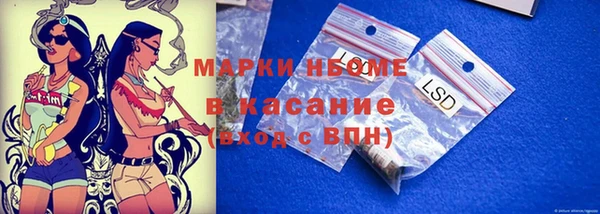 хмурый Вяземский