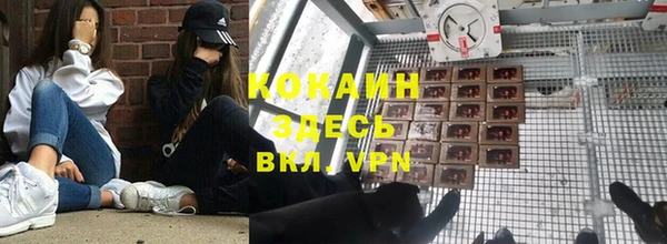 хмурый Вяземский