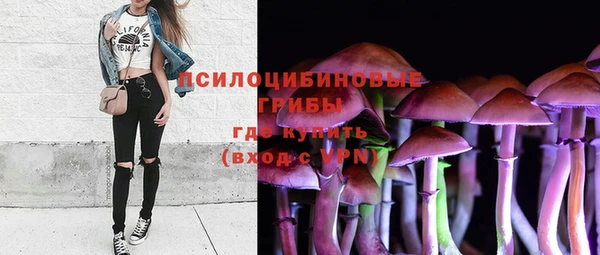 твердый Горно-Алтайск