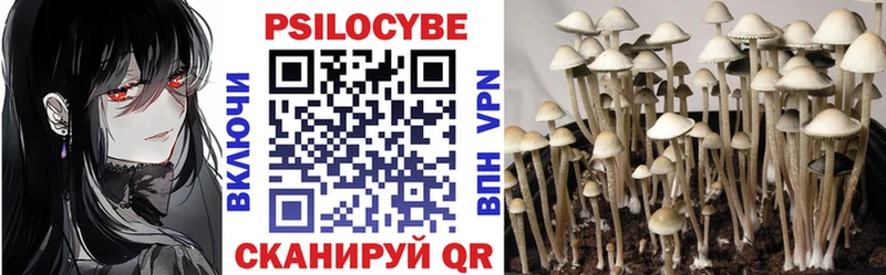 Псилоцибиновые грибы MAGIC MUSHROOMS  Константиновск 